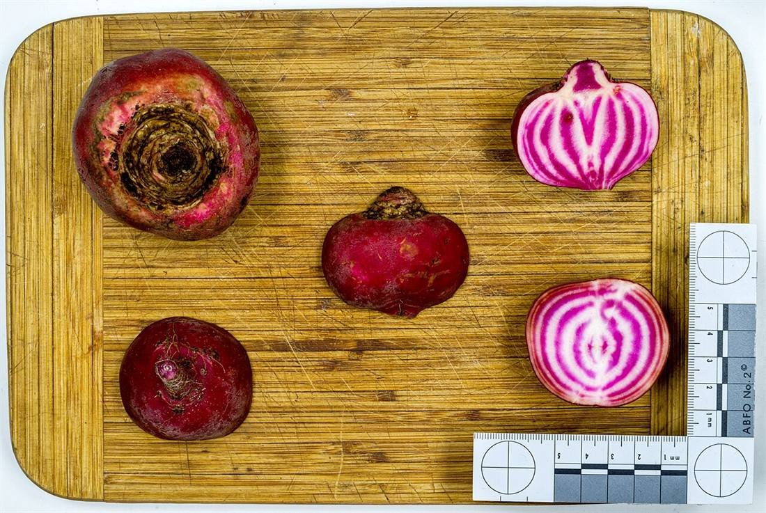 Beetroot Powder — export quality, India