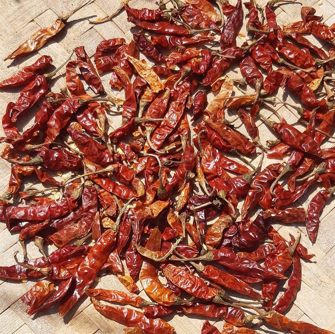 Red Chilli — export quality, India