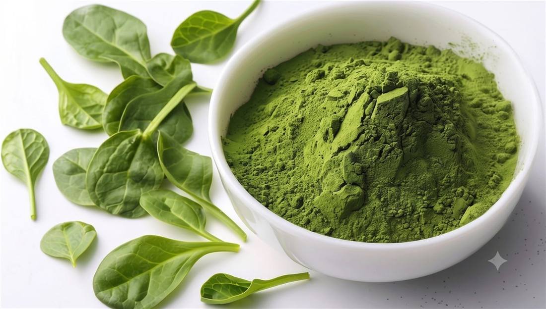 Spinach Powder — export quality, India