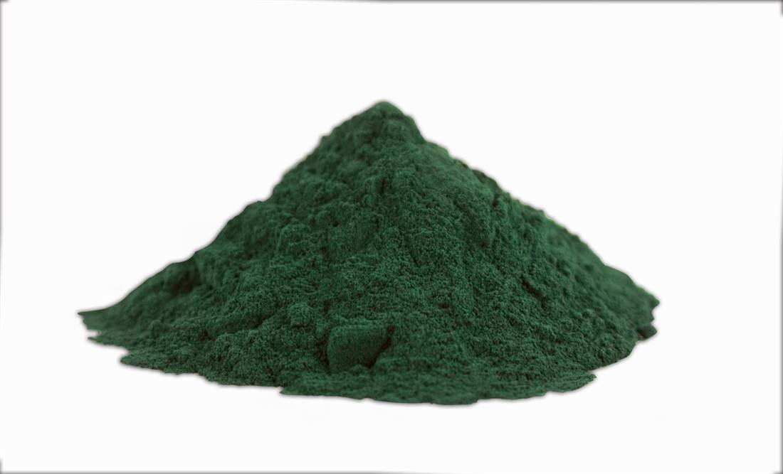 Spirulina Powder — export quality, India
