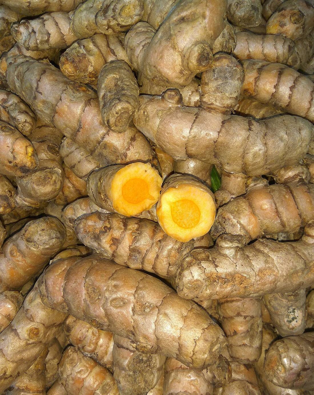 Turmeric — export quality, India